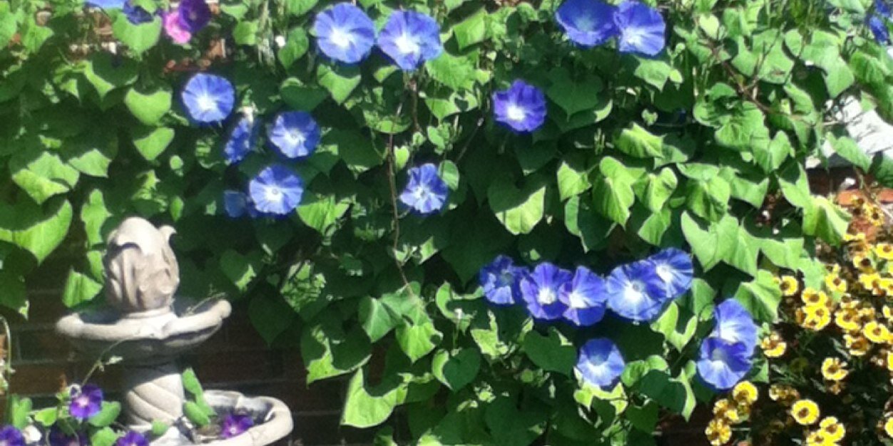 Heroux11's profile banner image