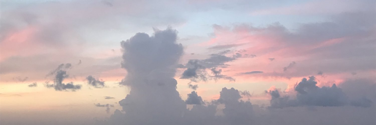 lesliergr's profile banner image