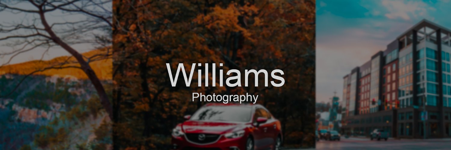 Williams Photography banner