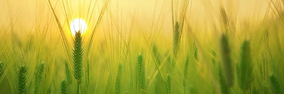 👭SaiLoM🌤 banner