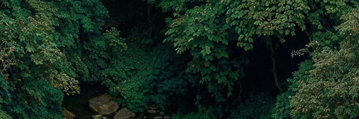 MackenzieYeoj's profile banner image