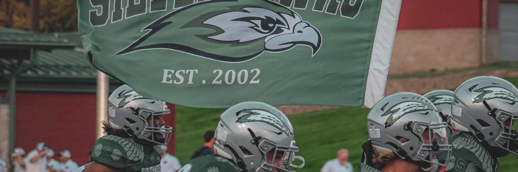 LSW Football banner