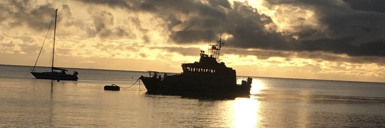 Tierna Cunningham banner