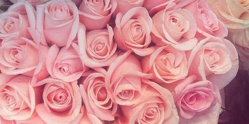 meet_melis's profile banner image