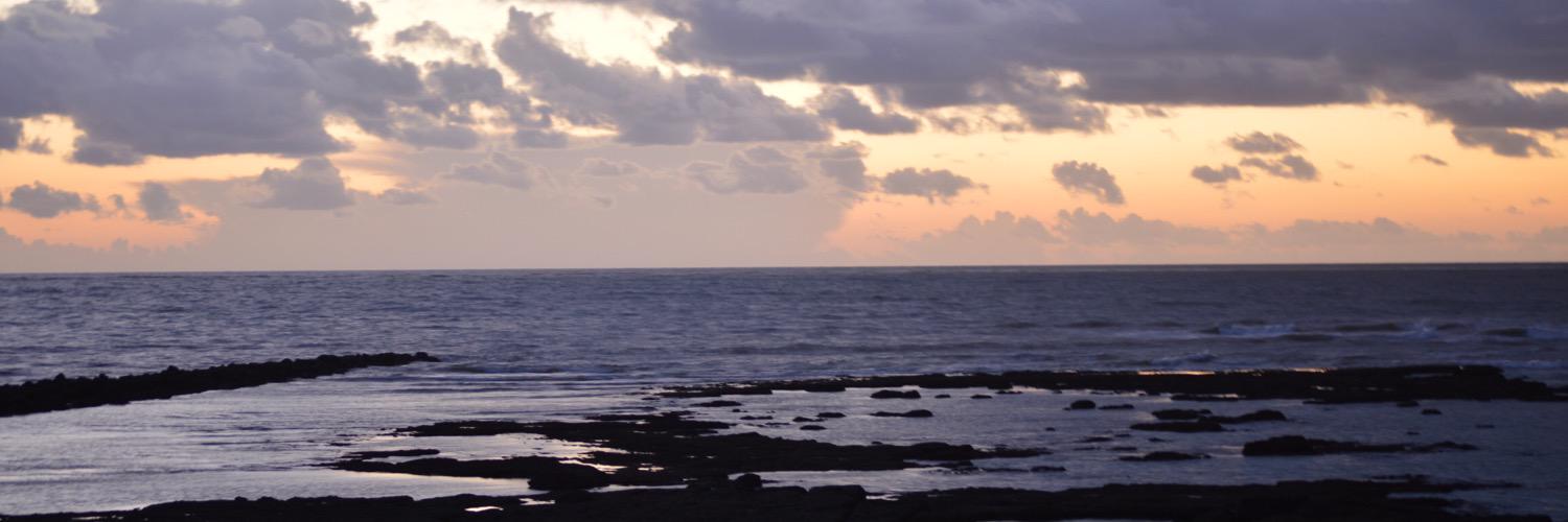 pesolme's profile banner image