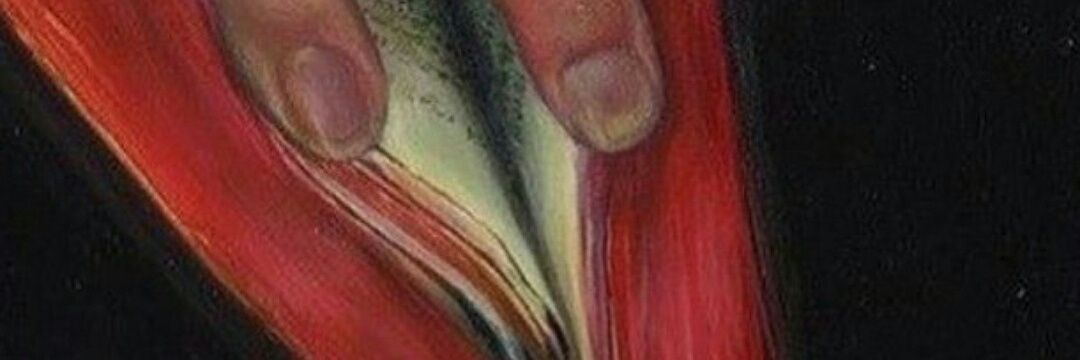 cami__castillo's profile banner image