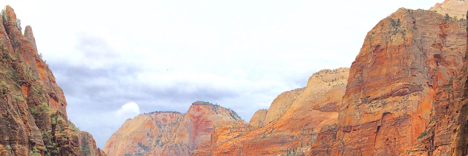 taylordonaghy's profile banner image