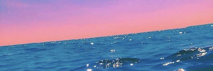 VxTOXIC(랑꽃) banner