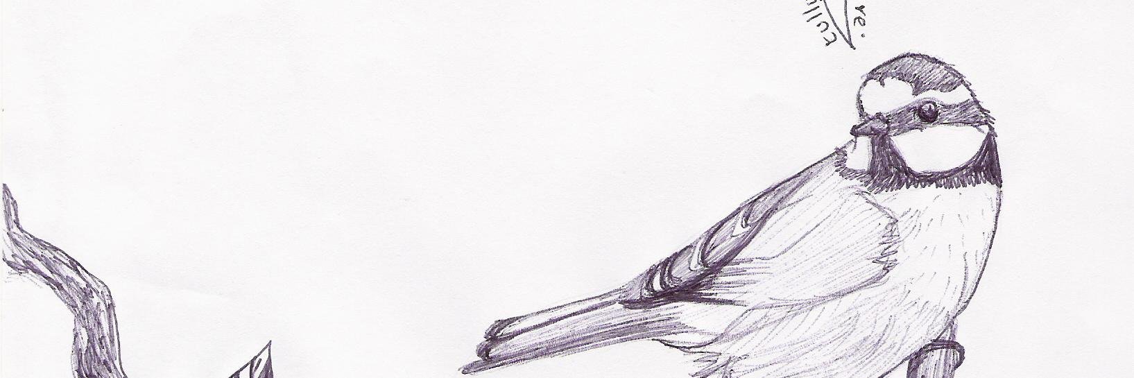 amyvbaggott's profile banner image