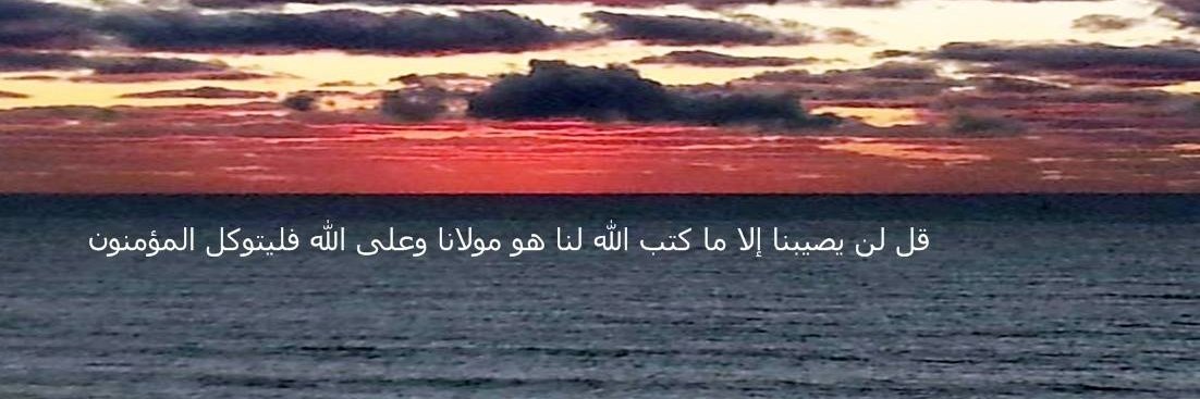 elsadany100's profile banner image