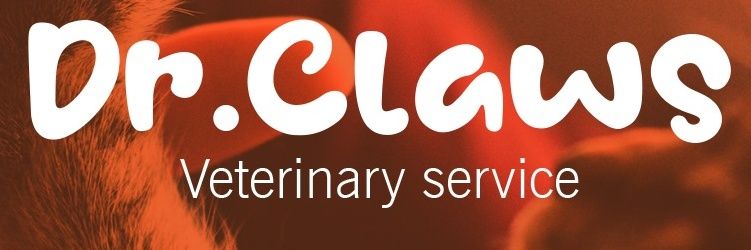 peter_refat's profile banner image