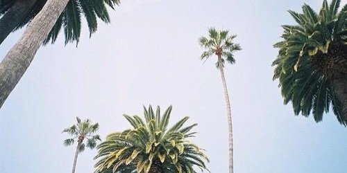 tbhlia's profile banner image