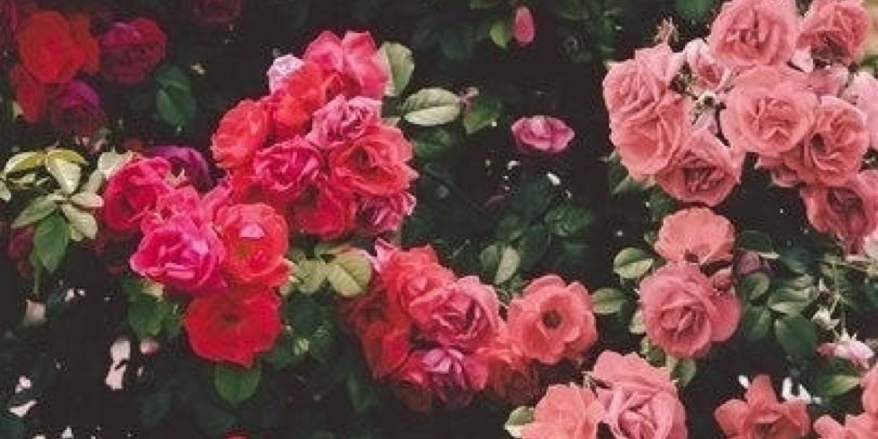 JenniferrrJo's profile banner image