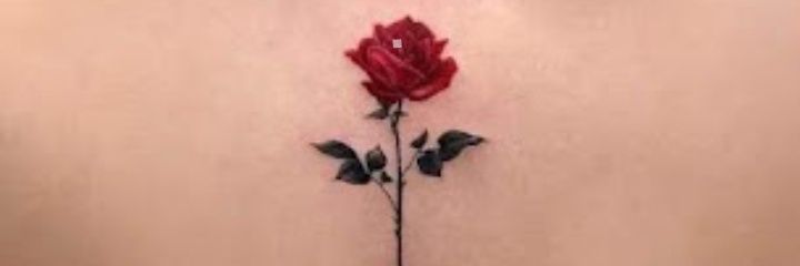 markm2x's profile banner image