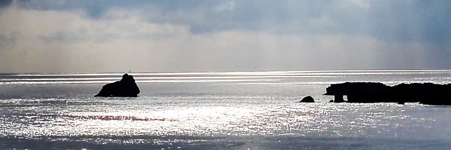 MarianSauras's profile banner image