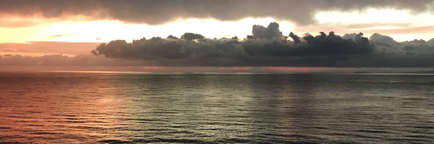 lilcpa's profile banner image