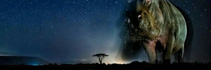 _ajeett's profile banner image