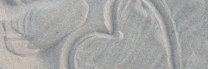 daniellemanarim's profile banner image