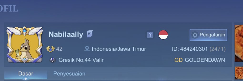 Nabilaally's profile banner image