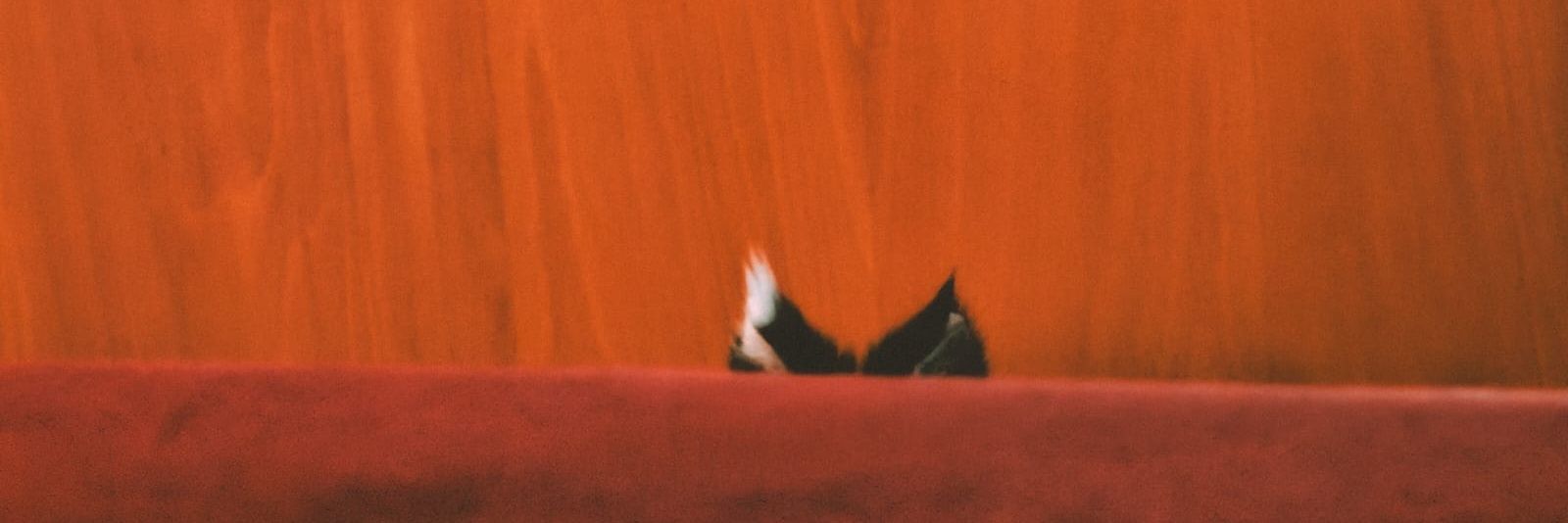 _Yayks_'s profile banner image