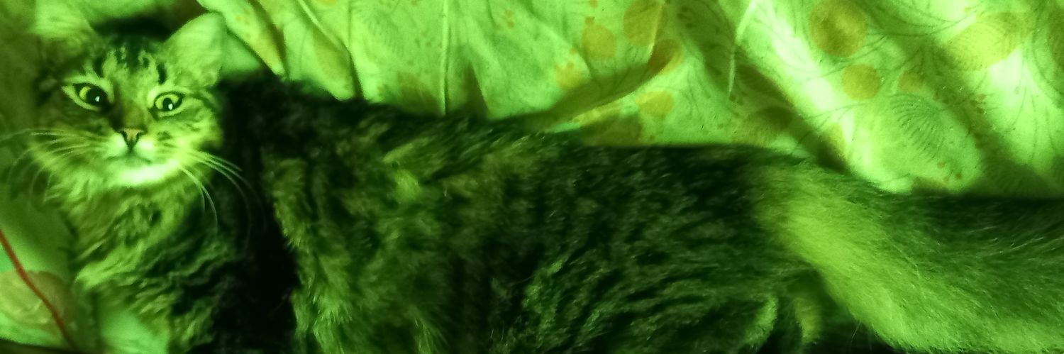 JazFranco_tw's profile banner image