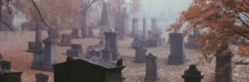 Miss_IvyB's profile banner image