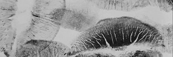 dulcedl801's profile banner image