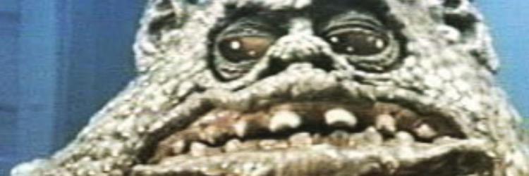 Lorikuncool's profile banner image