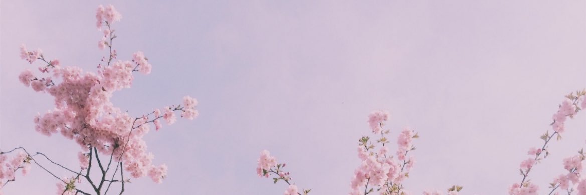 NickiJayy's profile banner image