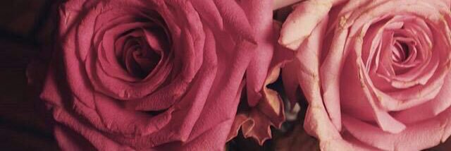 fofa201414's profile banner image