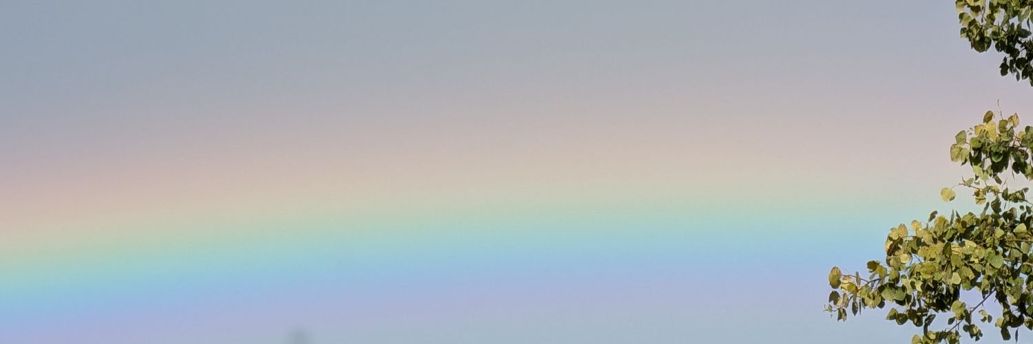 AshFarr14's profile banner image