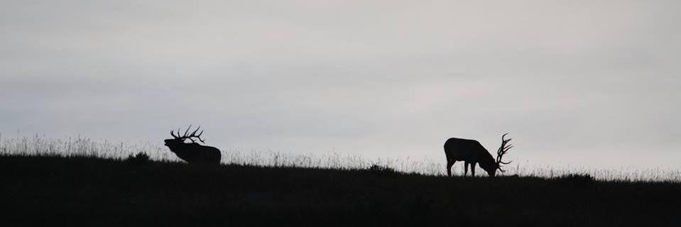 Tulggaa's profile banner image