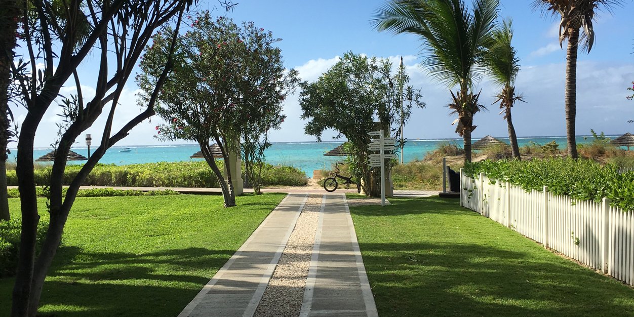 Paid Ya Stojakovic banner