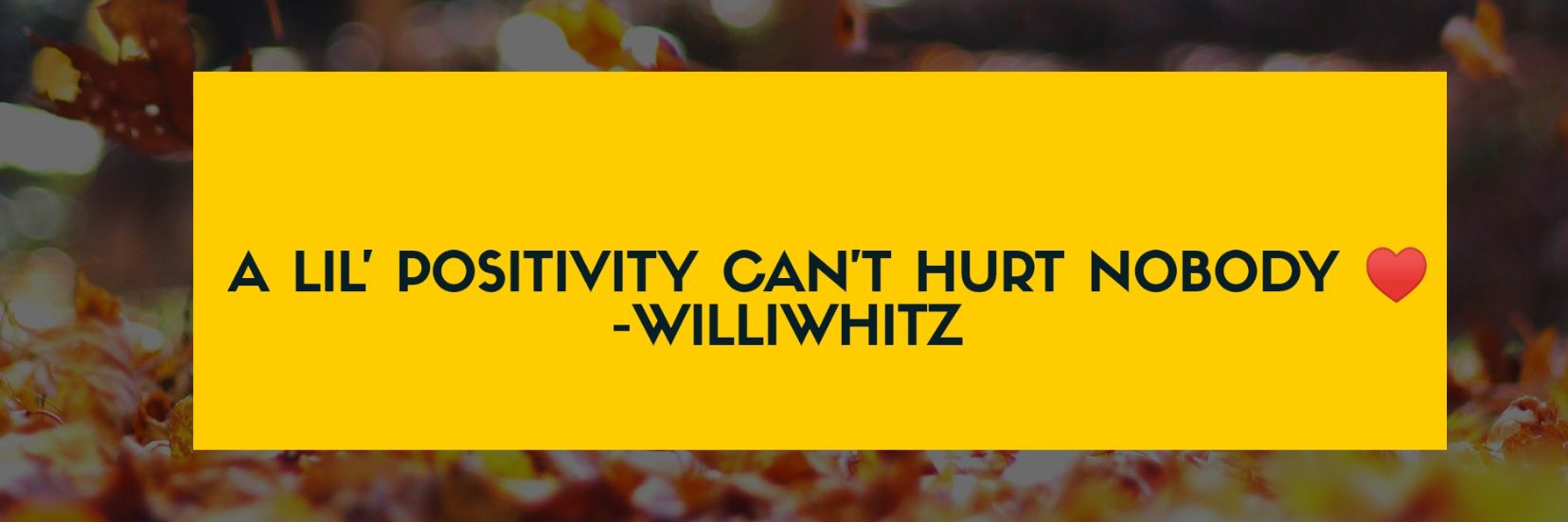 williwhitz's profile banner image