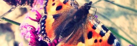 gemloucla87's profile banner image