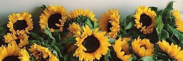 Yuli_D4's profile banner image