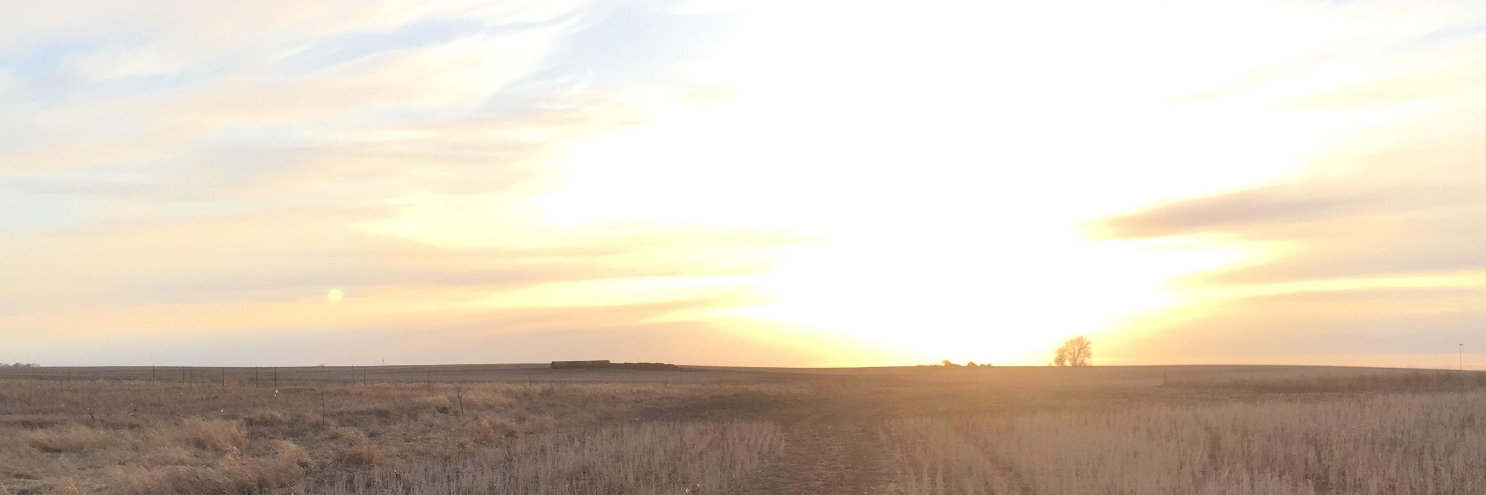 AaronMiller____'s profile banner image