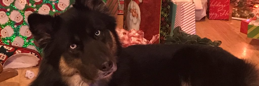 ruedandsmelly's profile banner image