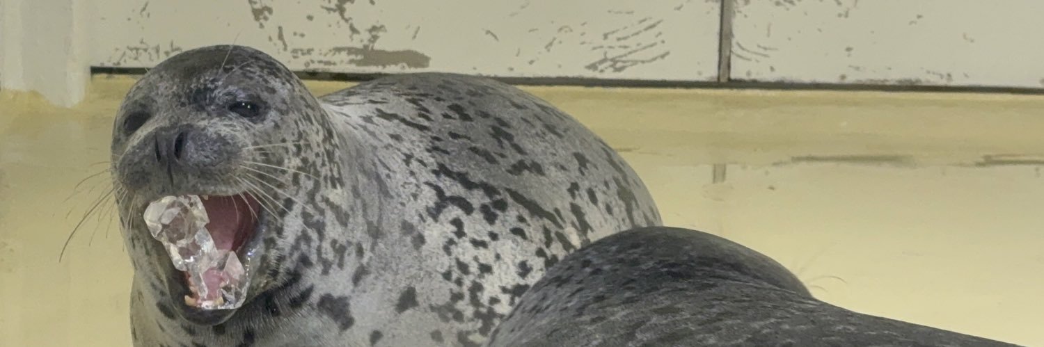 monyanya316's profile banner image