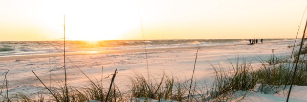 Roenel Profile Banner