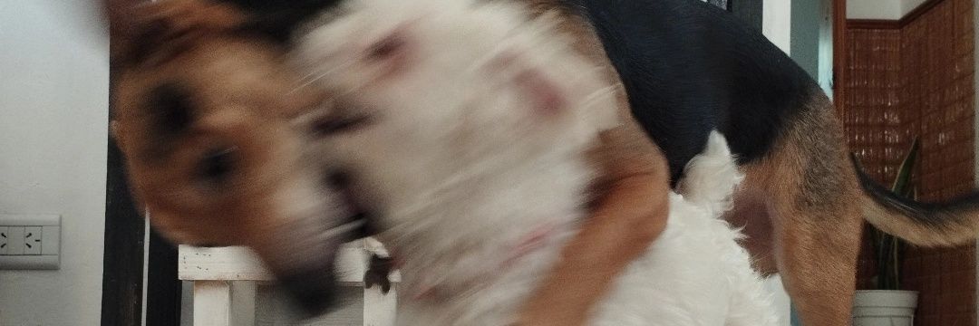 BClaros's profile banner image