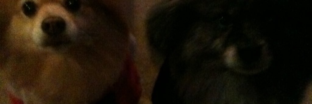 Melissa Pellegrin banner