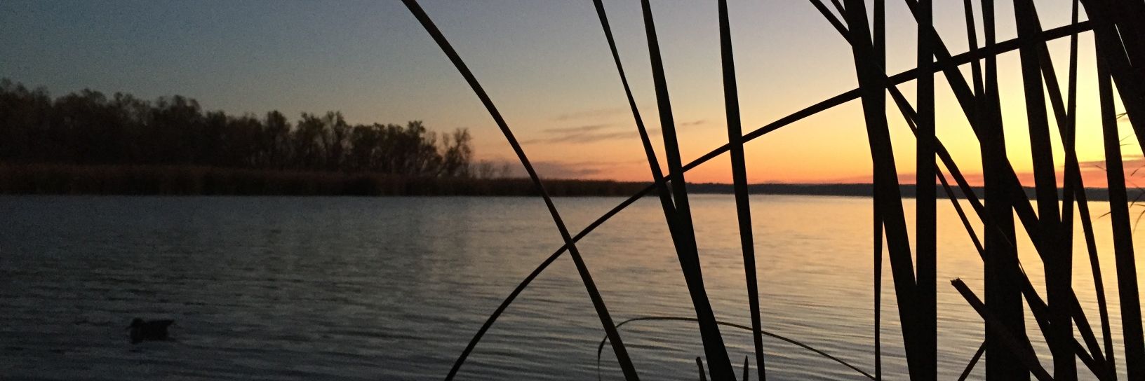 duckslayer94's profile banner image
