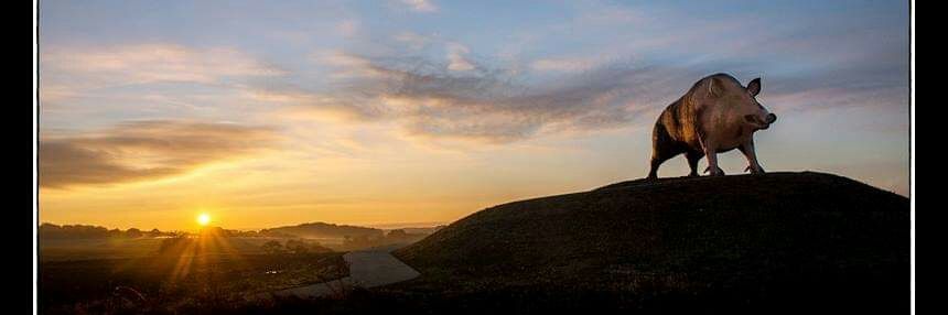 mabel zegarra banner