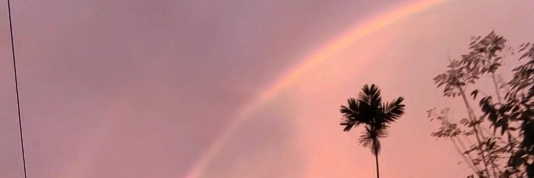 _likess's profile banner image