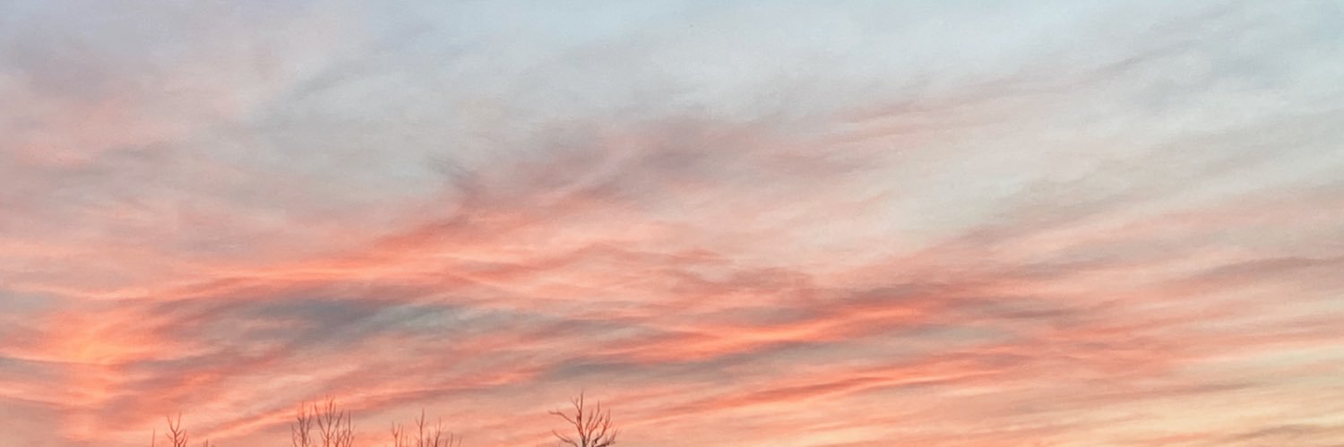 Natali Edgerton banner