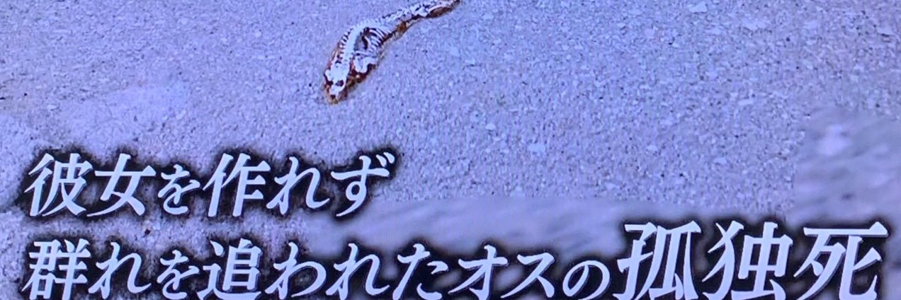 one_two_chan's profile banner image