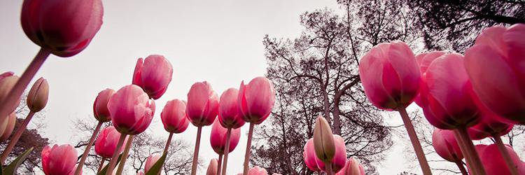 taylorizzleee's profile banner image