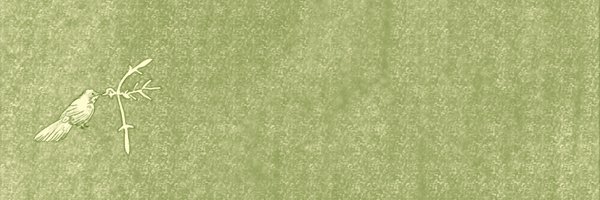 drawdoer's profile banner image