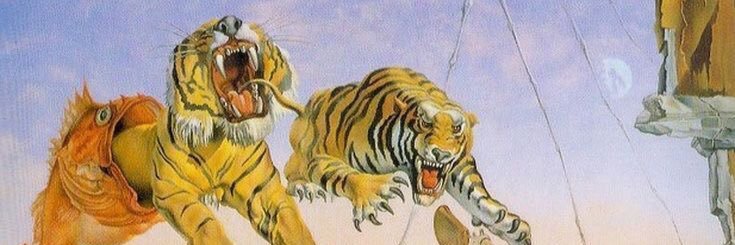 antocelb's profile banner image